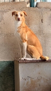 NATY Image 3